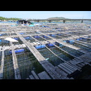 Vor unserem Mittagslokal